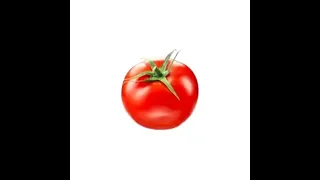 Concentre-toi - Sardoche (version tomate)
