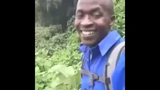 O.K.