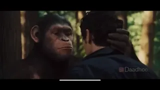 Lèche moi les couilles