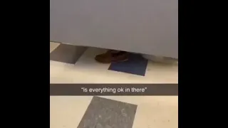 Gros caca aux toilettes