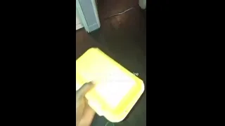 Ton grec il est là (pomme)